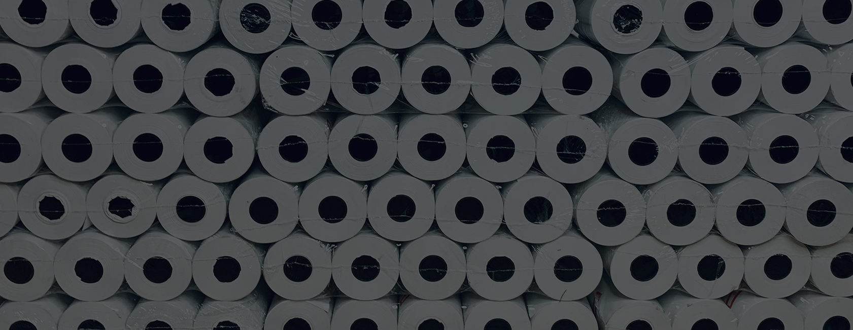 BIENVENIDOS A PAPELTERMICO.CL